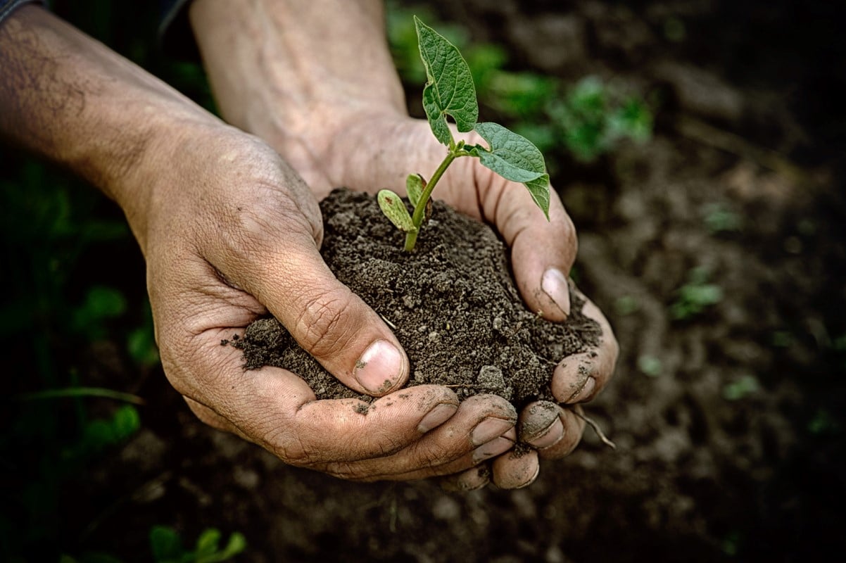 getting-your-hands-dirty-trinity-presbyterian